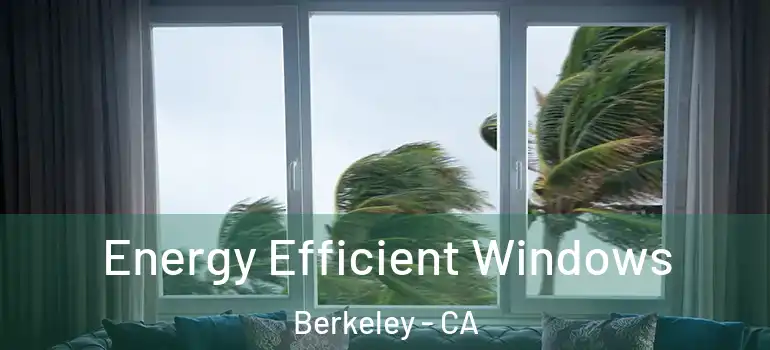  Energy Efficient Windows Berkeley - CA