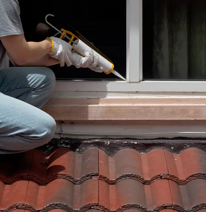 Roof Window Services in Berkeley, California