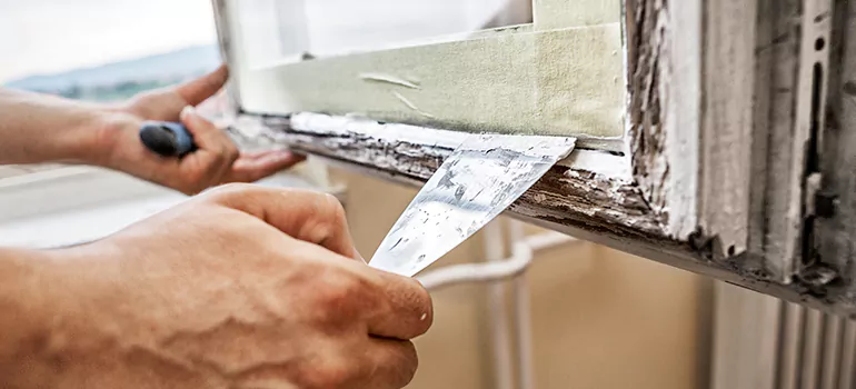 Exterior Window Frame Repair in Berkeley, CA