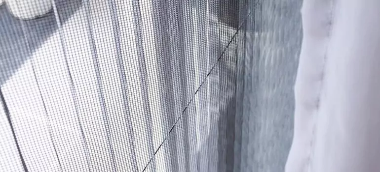 Fixing Screen Window Mesh in Berkeley, CA