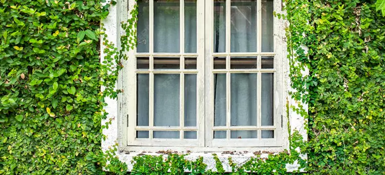 Garden Window Repair Near Me in Berkeley, CA