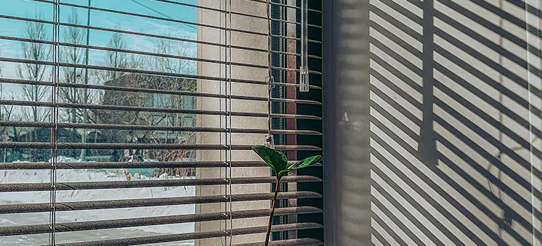 Commercial Window Blinds in Berkeley, CA