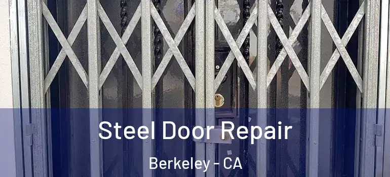  Steel Door Repair Berkeley - CA