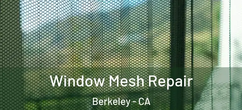  Window Mesh Repair Berkeley - CA