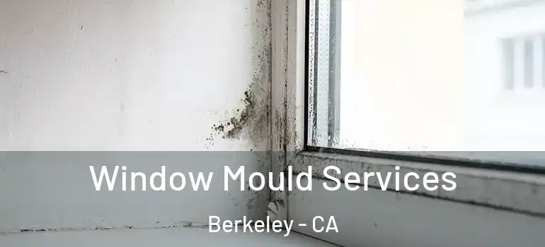 Window Mould Services Berkeley - CA